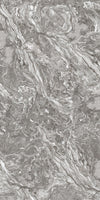TPX2529 - Tripix Images