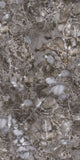 TPX2594