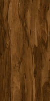 TPX2663 - Tripix Images