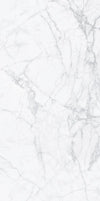 TPX2764 - Tripix Images