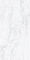 TPX2764 - Tripix Images