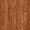 TPX3079 - Tripix Images