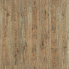 TPX3121 - Tripix Images