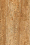 TPX3344 - Tripix Images