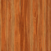 TPX3364 - Tripix Images