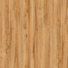 TPX3372 - Tripix Images