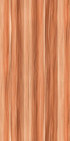TPX3496 - Tripix Images