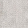 TPX3561 - Tripix Images