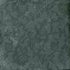 TPX3591 - Tripix Images