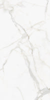 TPX3682 - Tripix Images