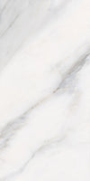 TPX3719 - Tripix Images