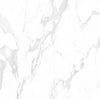 TPX3736 - Tripix Images