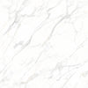 TPX3737 - Tripix Images