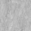 TPX3743 - Tripix Images
