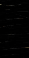 TPX3837 - Tripix Images