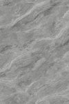 TPX3838 - Tripix Images