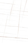 TPX3847 - Tripix Images