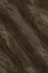 TPX3854 - Tripix Images