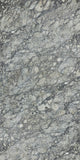 TPX3898